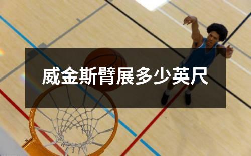威金斯臂展多少英尺