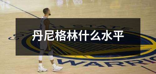 丹尼格林什么水平