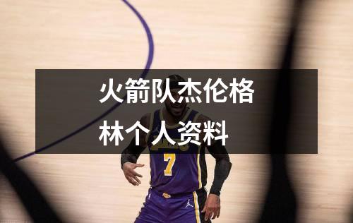 火箭队杰伦格林个人资料
