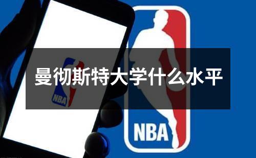 曼彻斯特大学什么水平