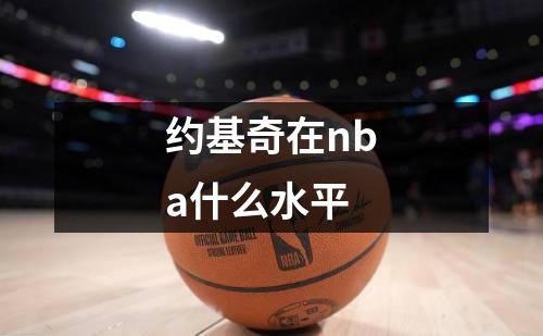 约基奇在nba什么水平