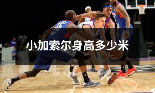 小加索尔身高多少米