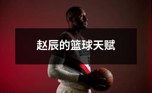 赵辰的篮球天赋