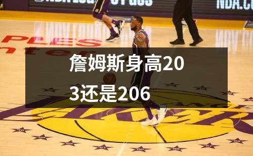 詹姆斯身高203还是206