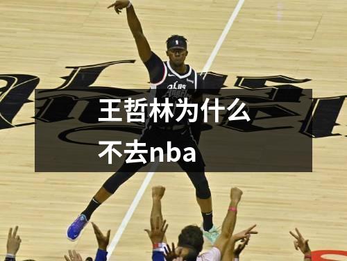 王哲林为什么不去nba