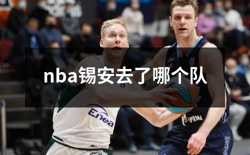 nba锡安去了哪个队