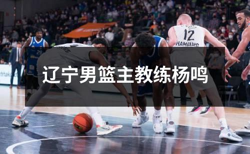 辽宁男篮主教练杨鸣