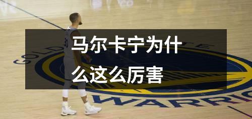 马尔卡宁为什么这么厉害