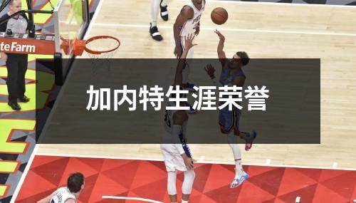 加内特生涯荣誉