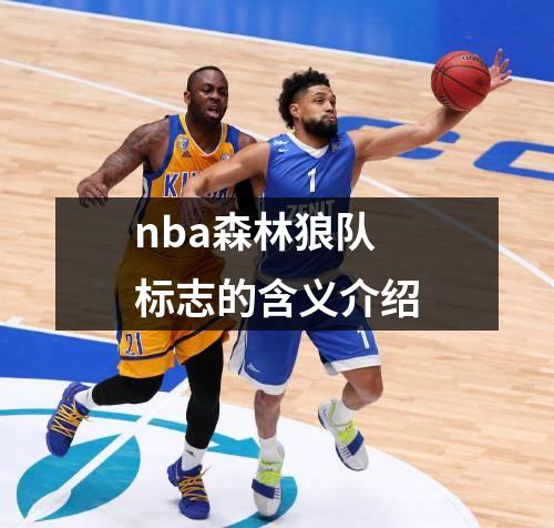 nba森林狼队标志的含义介绍
