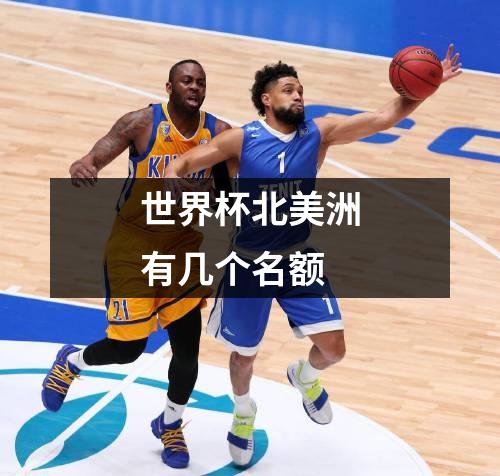 世界杯北美洲有几个名额