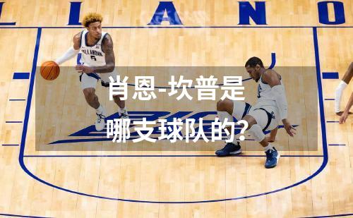 马内技术特点是什么