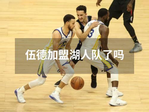 2004亚洲杯中国队阵容