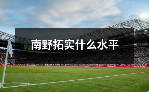 南野拓实什么水平