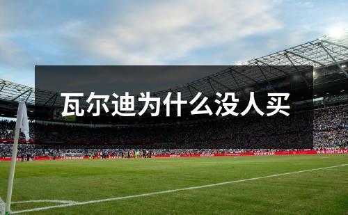 瓦尔迪为什么没人买