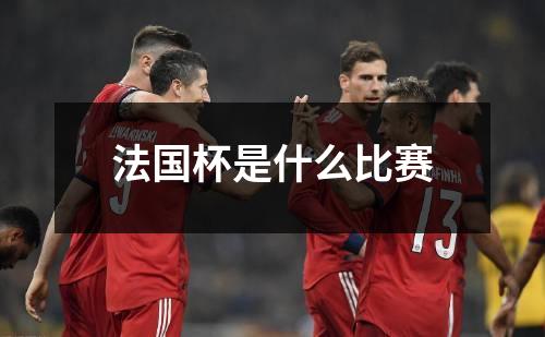 法国杯是什么比赛