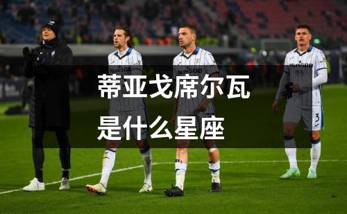 蒂亚戈席尔瓦是什么星座