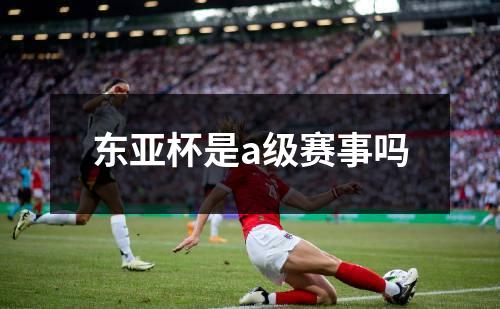 东亚杯是a级赛事吗