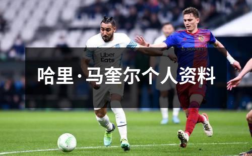 哈里·马奎尔个人资料