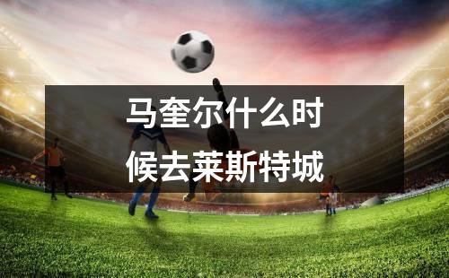 马奎尔什么时候去莱斯特城