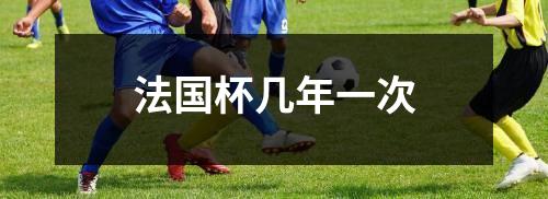 法国杯几年一次