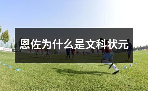 恩佐为什么是文科状元