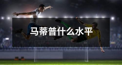 马蒂普什么水平
