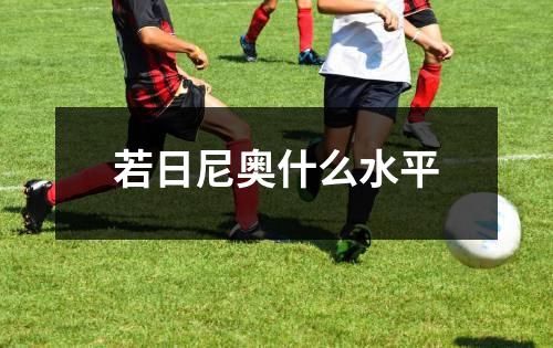 若日尼奥什么水平