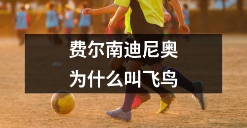 费尔南迪尼奥为什么叫飞鸟