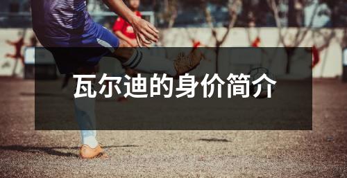 瓦尔迪的身价简介