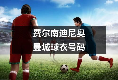 费尔南迪尼奥曼城球衣号码