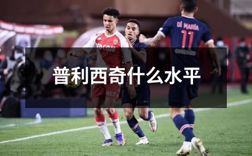普利西奇什么水平