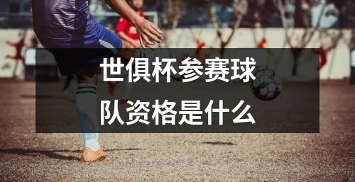 世俱杯参赛球队资格是什么