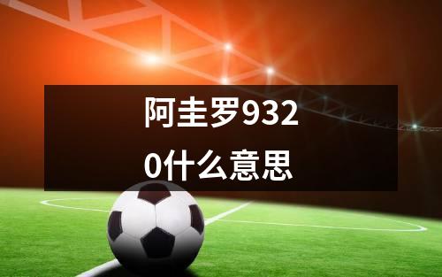 阿圭罗9320什么意思