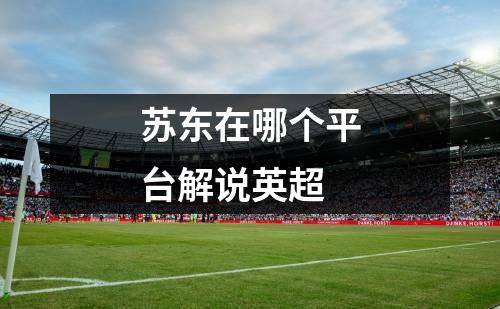 苏东在哪个平台解说英超