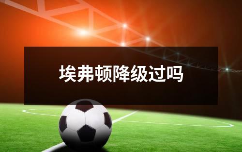 埃弗顿降级过吗