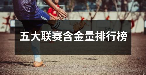 五大联赛含金量排行榜
