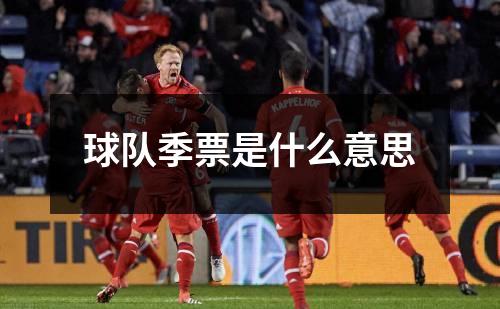 球队季票是什么意思