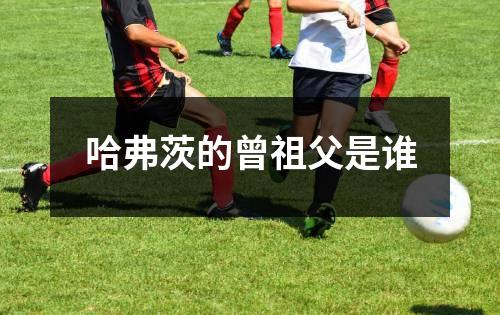 哈弗茨的曾祖父是谁
