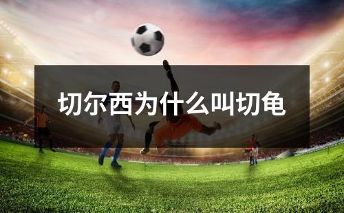 切尔西为什么叫切龟