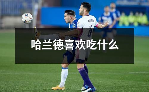 哈兰德喜欢吃什么