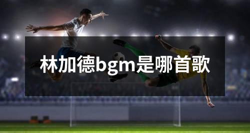 林加德bgm是哪首歌