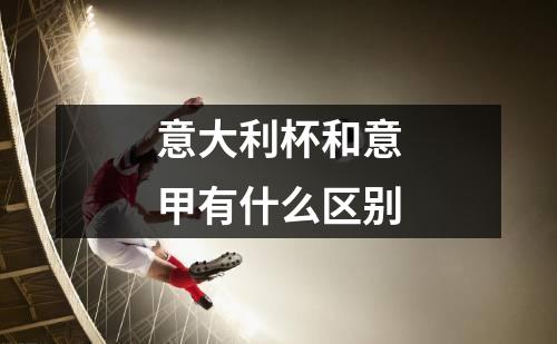 意大利杯和意甲有什么区别