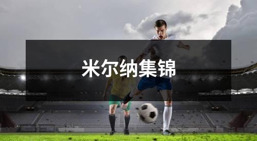 米尔纳集锦