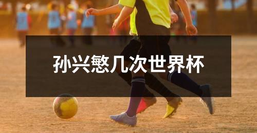 孙兴慜几次世界杯