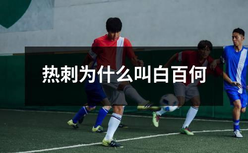 热刺为什么叫白百何