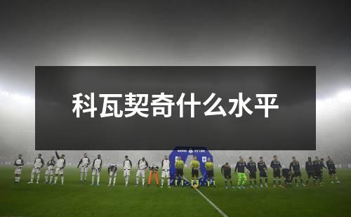 科瓦契奇什么水平
