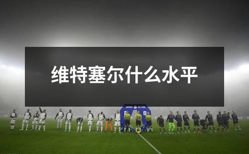 维特塞尔什么水平
