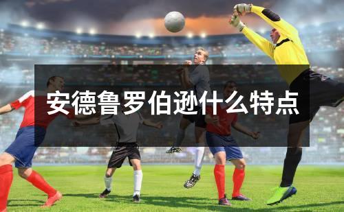 安德鲁罗伯逊什么特点