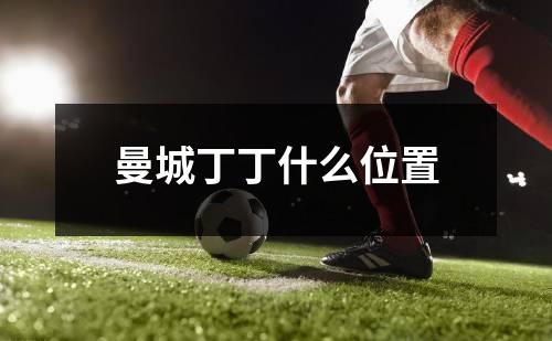 曼城丁丁什么位置